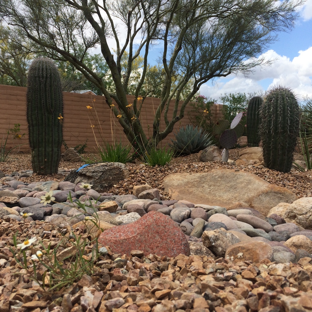 Tucson Landscape Design | Portfolio | Arizona Landshapes